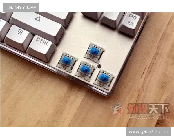 快速掌握K8登陆官网的登录技巧提升游戏体验效率 快速掌握K8登陆官网的登录技巧提升游戏体验效率